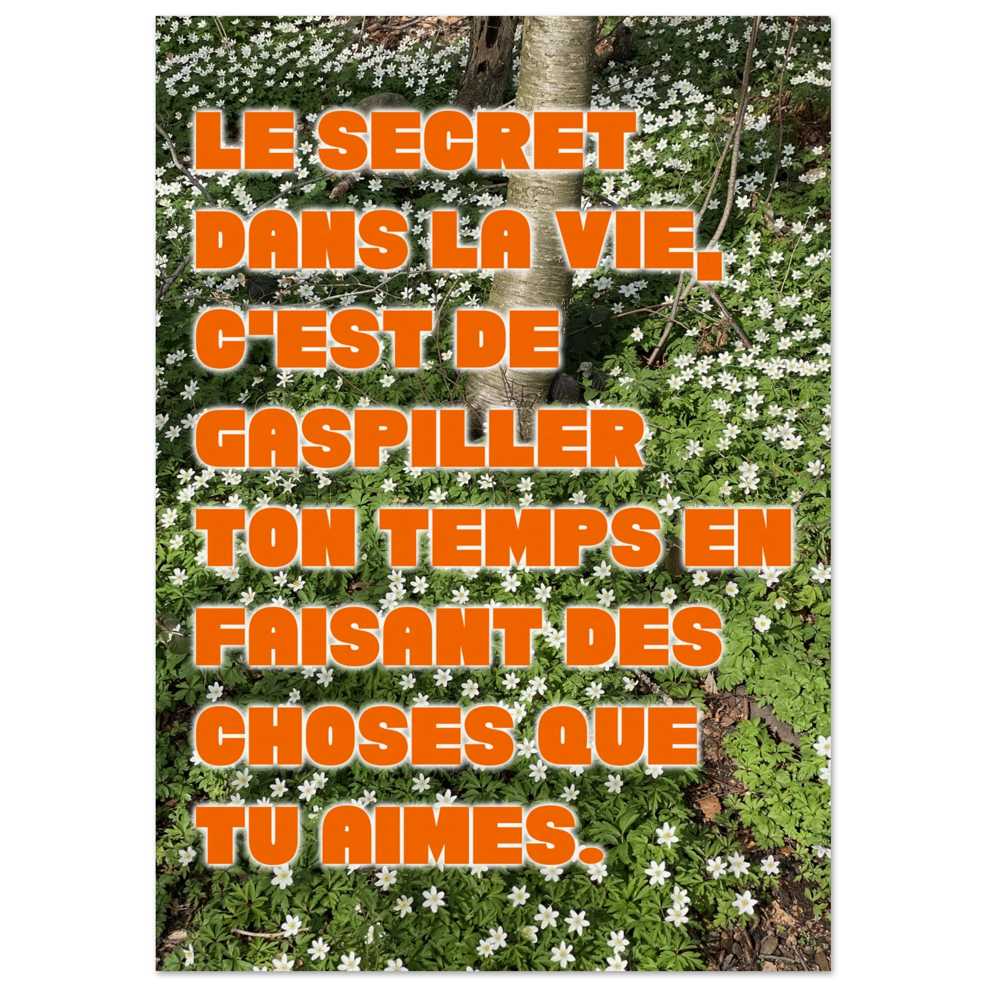 ab1162c4-e01b-4110-a3a0-524717f7d5bd