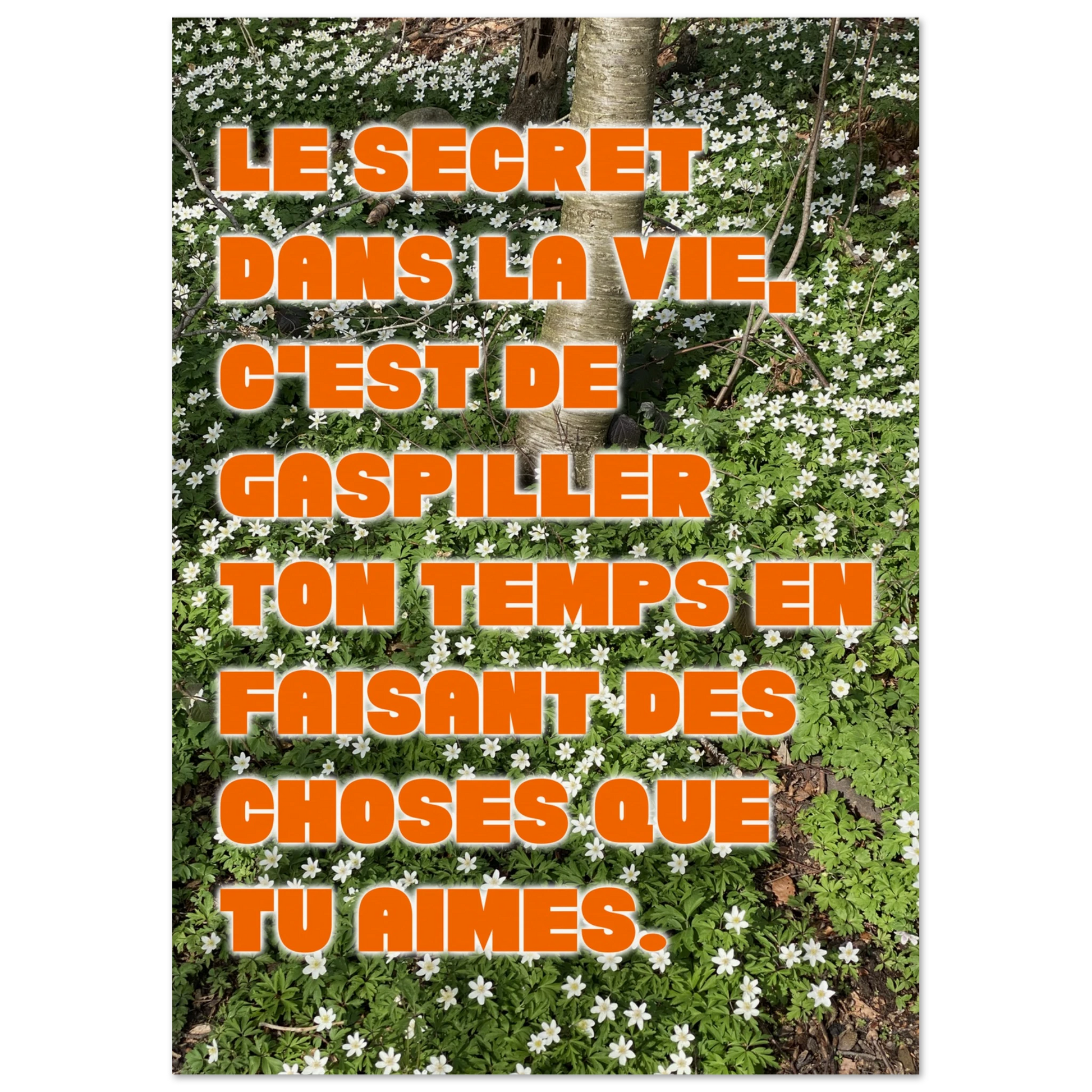 c37f0350-3d11-42ed-b40b-edeb01c5dd4a